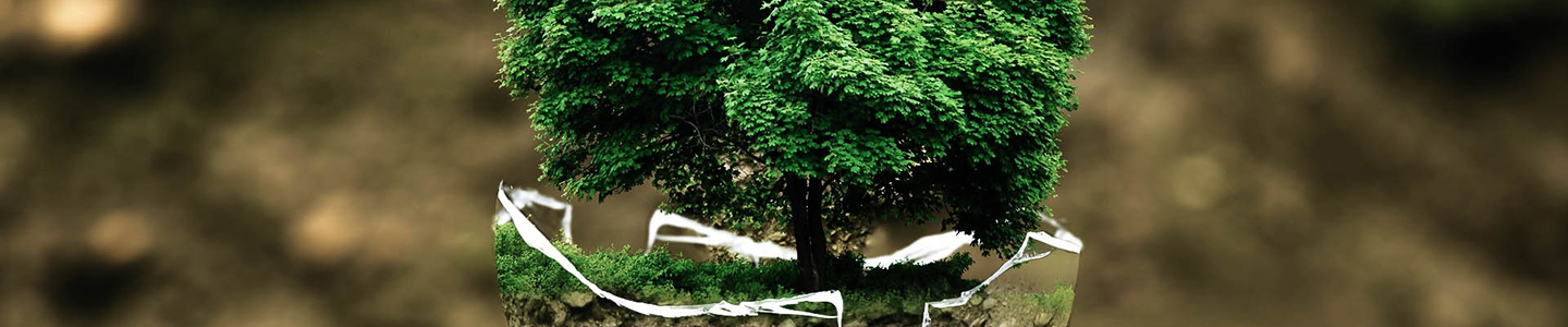 关于3133cc拉斯维加斯